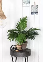 Mica Decorations kunstplant palm 45cm groen - afbeelding 5