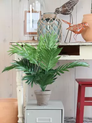 Mica Decorations kunstplant palm 45cm groen - afbeelding 6