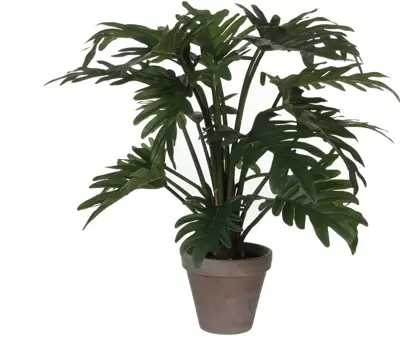Mica Decorations kunstplant philodendron 50cm groen - afbeelding 1