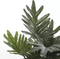 Mica Decorations kunstplant philodendron 50cm groen - afbeelding 2