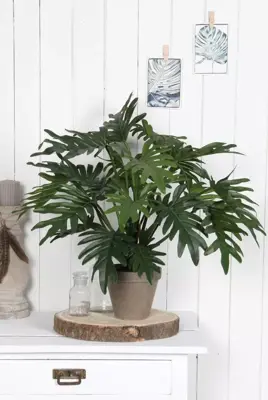 Mica Decorations kunstplant philodendron 50cm groen - afbeelding 4