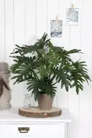 Mica Decorations kunstplant philodendron 50cm groen - afbeelding 4