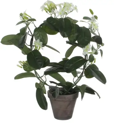 Mica Decorations kunstplant stephanotis 50cm wit - afbeelding 1