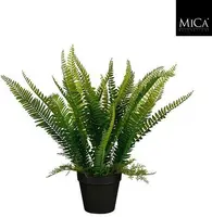 Mica Decorations kunstplant varen 47cm groen - afbeelding 1