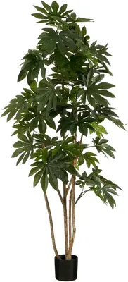 Mica Decorations kunstplant vingerplant 215cm groen - afbeelding 1