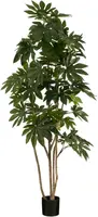Mica Decorations kunstplant vingerplant 215cm groen - afbeelding 1