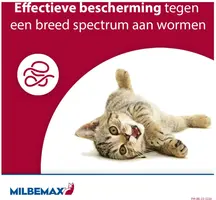 Milbemax Grote Kat – Ontwormingstabletten (2 stuks) - afbeelding 5