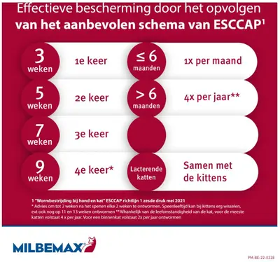 Milbemax Grote Kat – Ontwormingstabletten (2 stuks) - afbeelding 9