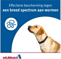 Milbemax Kleine Hond & Pup – Ontwormingsmiddel - afbeelding 7