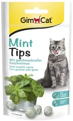 Minttips 40g
