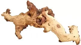 Mopani hout, middel kopen?