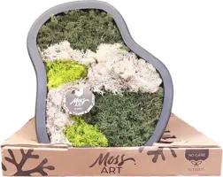 Moss art Organisch 38cm - afbeelding 1