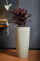 Musa matte vaas 35x70 met binnenpot amandel - afbeelding 2
