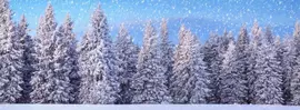 My Village Achtergrond dubbelzijdig-wintersport/bos 98x33 cm - afbeelding 4