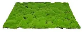 My Village Kunstmos Mat Groen Medium 70x50cm kopen?