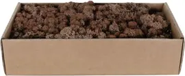 My Village Rendiermos bruin 500g