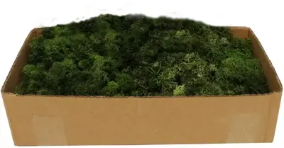 My Village Rendiermos donkergroen 500g - afbeelding 1