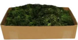My Village Rendiermos donkergroen 500g - afbeelding 1