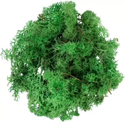 My Village Rendiermos groen 50g - afbeelding 2
