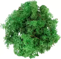My Village Rendiermos groen 50g - afbeelding 2