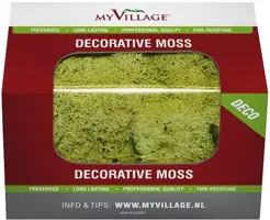 My Village Rendiermos lichtgroen 50g - afbeelding 1