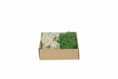 My Village Rendiermos Mix Donkergroen-Naturel 250 gr