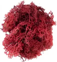 My Village Rendiermos rood 50g - afbeelding 2