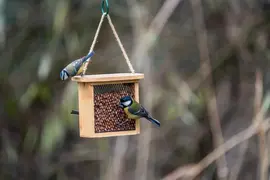 Nagano Voedersysteem voor Tuinvogels - afbeelding 4