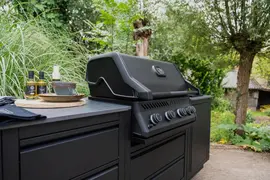 Napoleon Built-in 300 Serie 32 - afbeelding 5