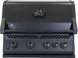 Napoleon Built-in 300 Serie 32 - afbeelding 1