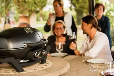 Napoleon Travelq™ pro 285 gasbarbecue - afbeelding 10