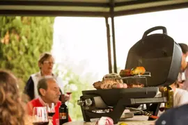 Napoleon Travelq™ pro 285 gasbarbecue - afbeelding 11