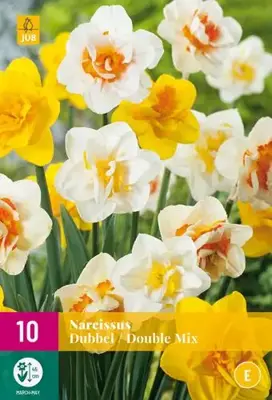 Narcissus Dubbel mix 10 narcisbollen - afbeelding 1