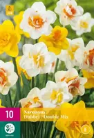 Narcissus Dubbel mix 10 narcisbollen - afbeelding 1