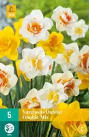 Narcissus Dubbel Mix 5 narcisbollen - afbeelding 2