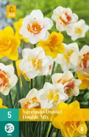 Narcissus Dubbel Mix 5 narcisbollen - afbeelding 1