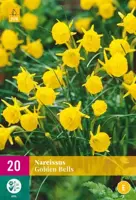 Narcissus Golden Bells 20 narcisbollen - afbeelding 2