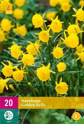 Narcissus Golden Bells 20 narcisbollen - afbeelding 1