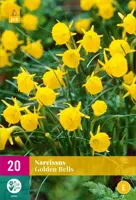 Narcissus Golden Bells 20 narcisbollen - afbeelding 1