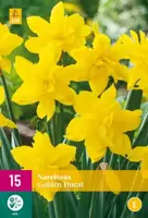 Narcissus Golden Ducat 15 narcisbollen - afbeelding 2