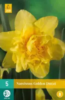 Narcissus Golden Ducat 5 narcisbollen - afbeelding 1