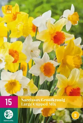 Narcissus Grootkronig mix 15 narcisbollen - afbeelding 1