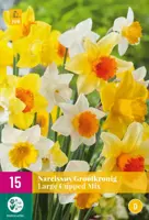 Narcissus Grootkronig mix 15 narcisbollen - afbeelding 1
