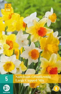 Narcissus Grootkronig mix 5 narcisbollen - afbeelding 1