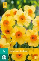 Narcissus Kedron 5 stuks - afbeelding 2