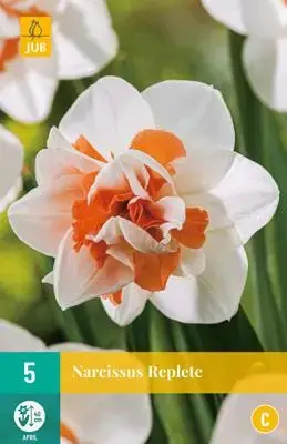 Narcissus Replete 5 stuks - afbeelding 1