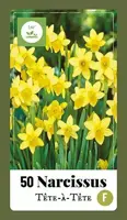 Narcissus Tête-à-Tête 50 narcisbollen - afbeelding 2
