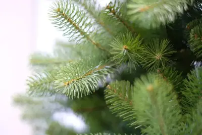 National Tree Company Bayberry slim kunstkerstboom groen 183cm - afbeelding 2