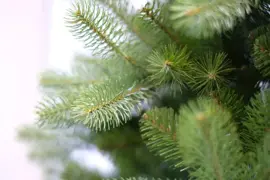 National Tree Company Bayberry slim kunstkerstboom groen 183cm - afbeelding 2