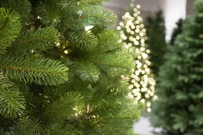 National Tree Company Bayberry spruce kunstkerstboom groen 198cm - afbeelding 5